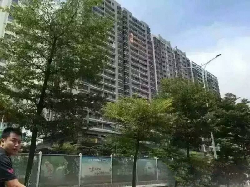 6棟大型社區(qū) 穗莞深長(zhǎng)安金沙站200米，3280/㎡起！（售罄）
